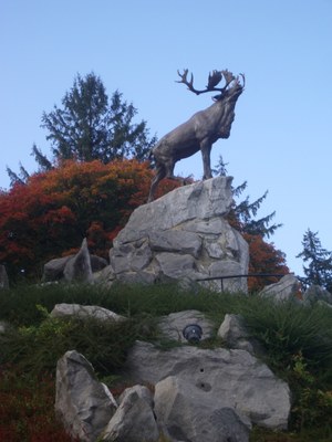 Caribou