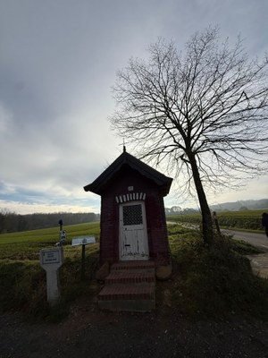 PHOTO 2025 11 22 18 13 10 (1)