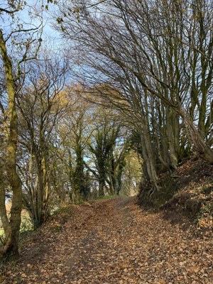 PHOTO 2025 11 22 18 13 11