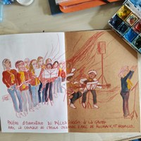IMG 0617